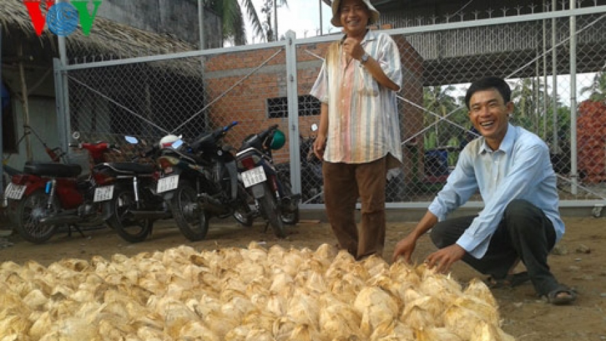 Ben Tre Coconut Festival – bigger than ever this year