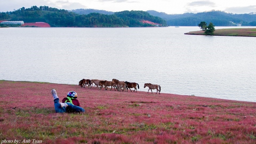 Top destinations in Da Lat