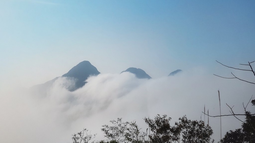 Tam Dao - ideal destination for trekkers 