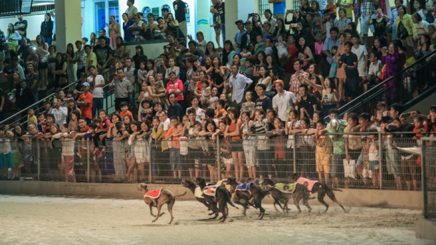 Photos capture anticipation of dog racing in Vung Tau