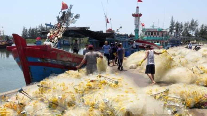 
        Da Nang joins national efforts to tackle IUU yellow card
                              