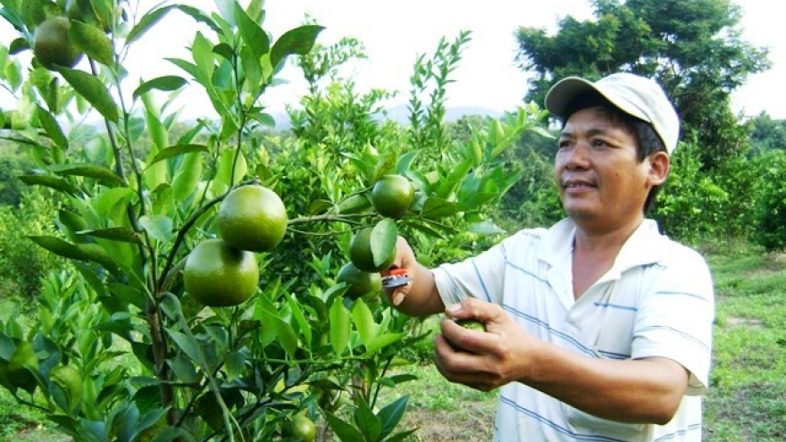 Central Highlands Dak Lak to cut poverty rate by 3 percent