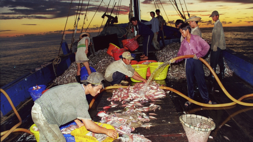 Vietnam making headways in fight against IUU fishing