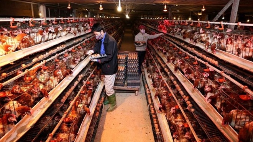 Hanoi leads nation in rural development