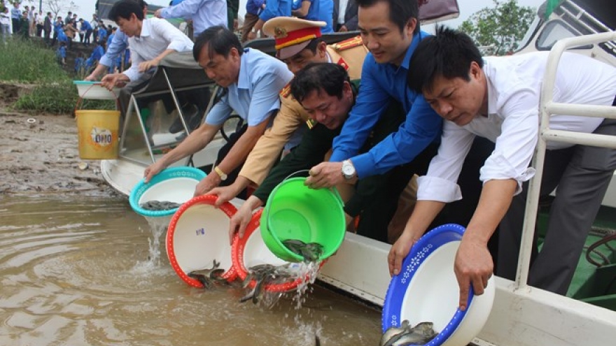 Young shrimps, fish released for aquatic resources