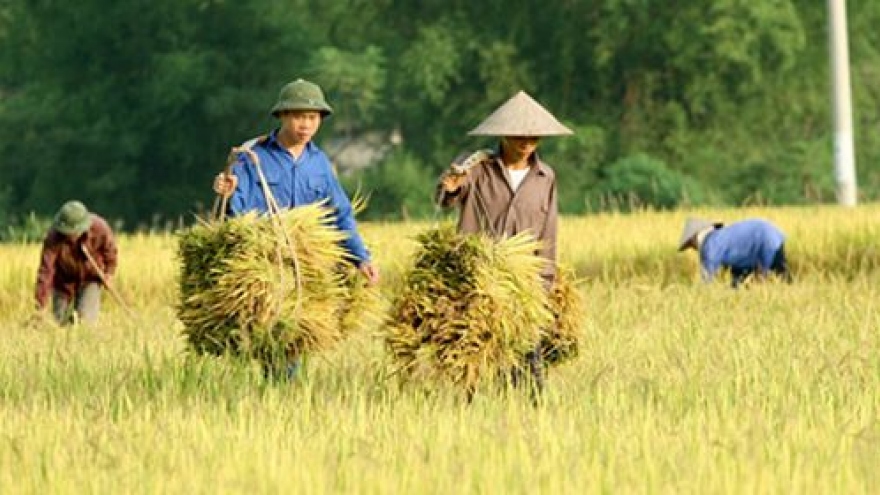 MDEC forum in Tien Giang   