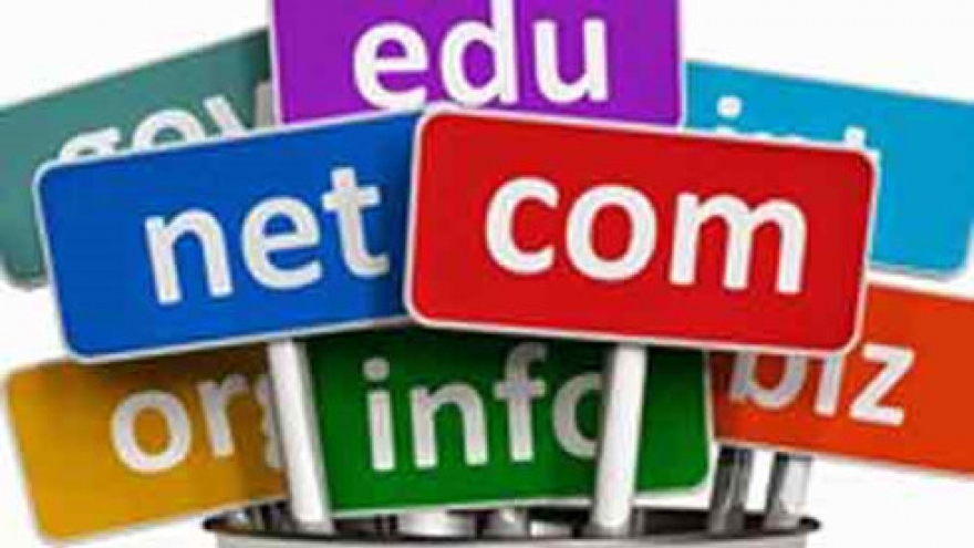 Domain name transfers await guidelines