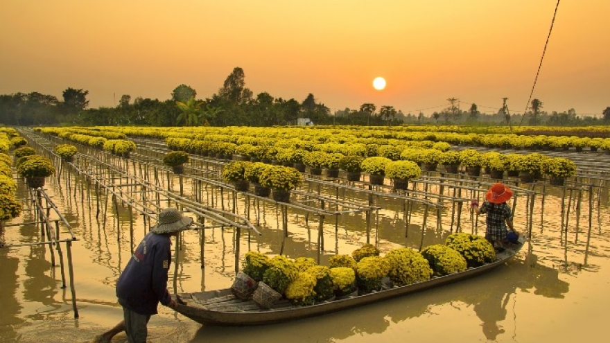 Explore Dong Thap, land of the lotus, for just US$20