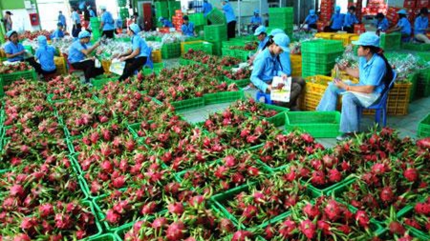 Agro-forestry and aquatic exports earn US$27.5 billion