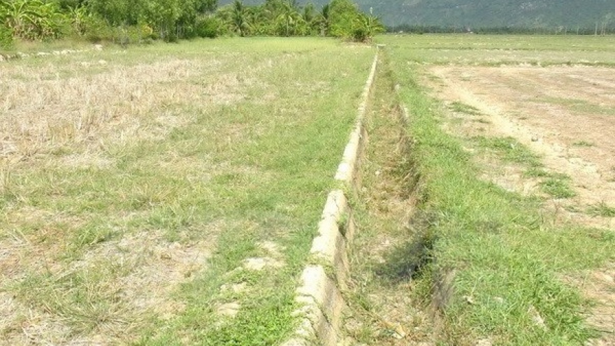 
        Drought forecast to be less severe in upcoming dry season
                              