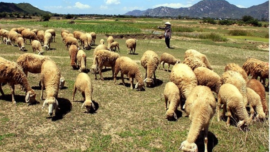 Drought threatens farmers in south-central region