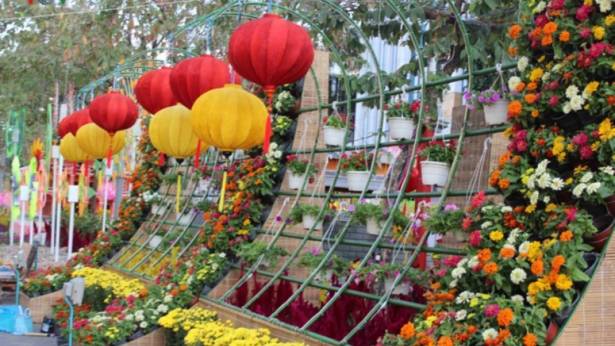 Can Tho flower road opens to visitors for Tet