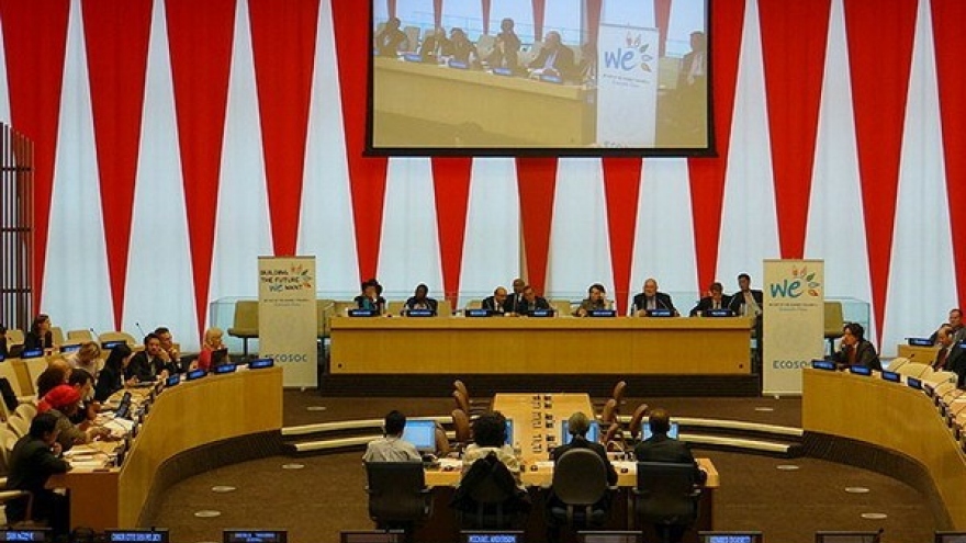 
        Vietnam attends UN policy integration discussions
                              
