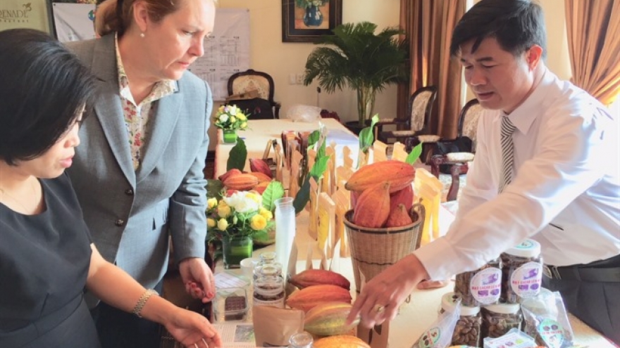 Fair-trade status for Vietnam cocoa to ease access to EU market