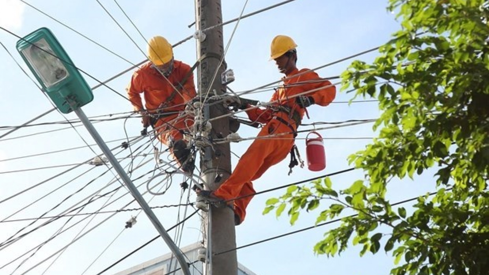 EVN to complete divestment in 2019