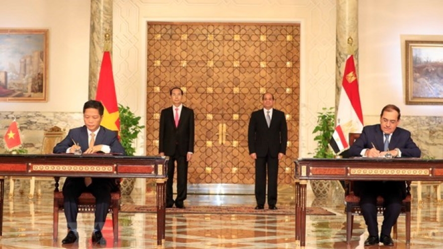 Vietnam, Egypt issue joint statement