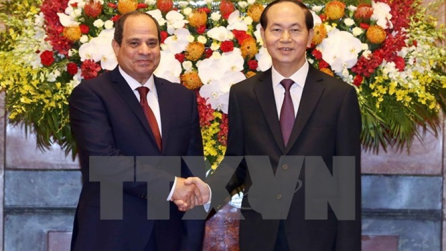 Ambassador: Vietnam-Egypt ties expected to grow strongly