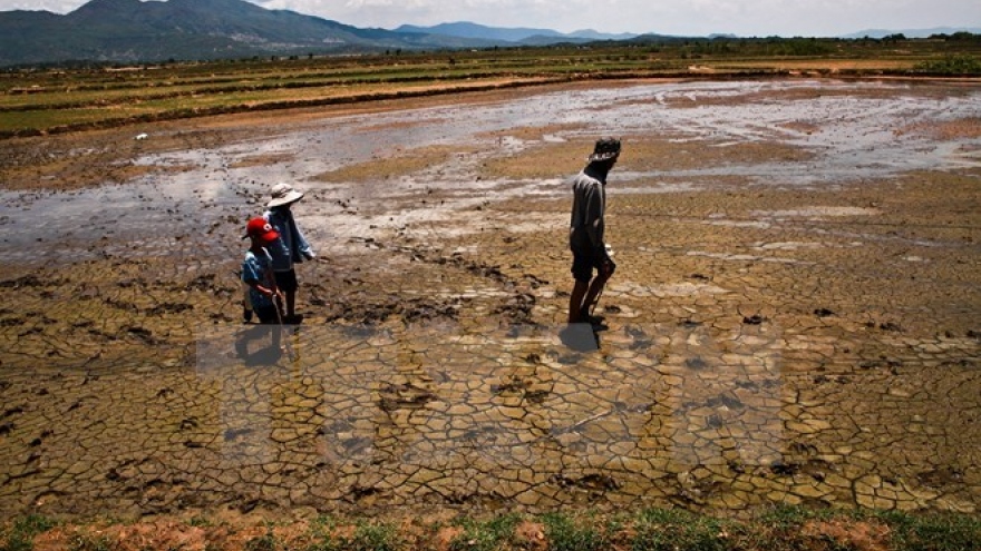 El Nino impacts to linger in first half of 2016