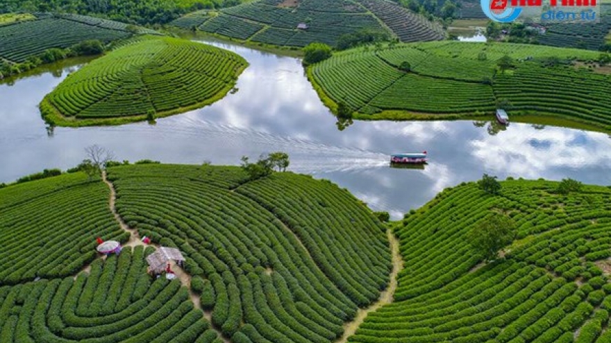 Environmental photography contest honours 19 winners