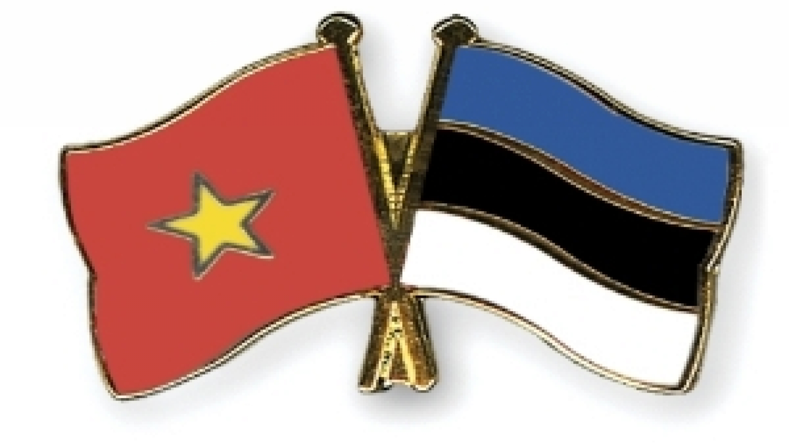 Vietnam, Estonia hold political consultation