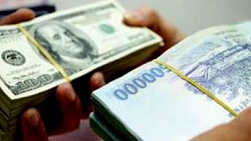 Exchange rates will remain unchanged to year’s end
