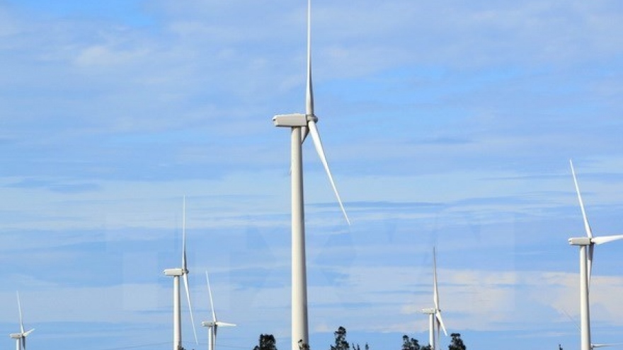 Foreign investors interested in wind power development in Vietnam