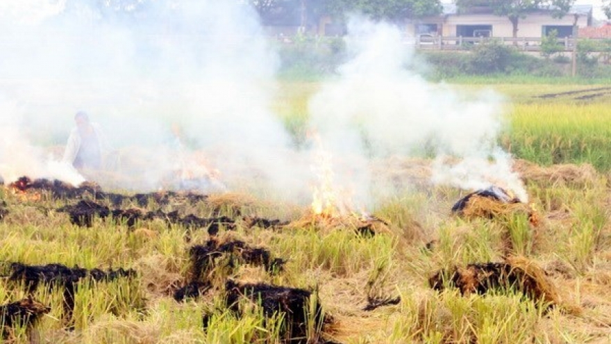 Experts call for increasing economic value of straw