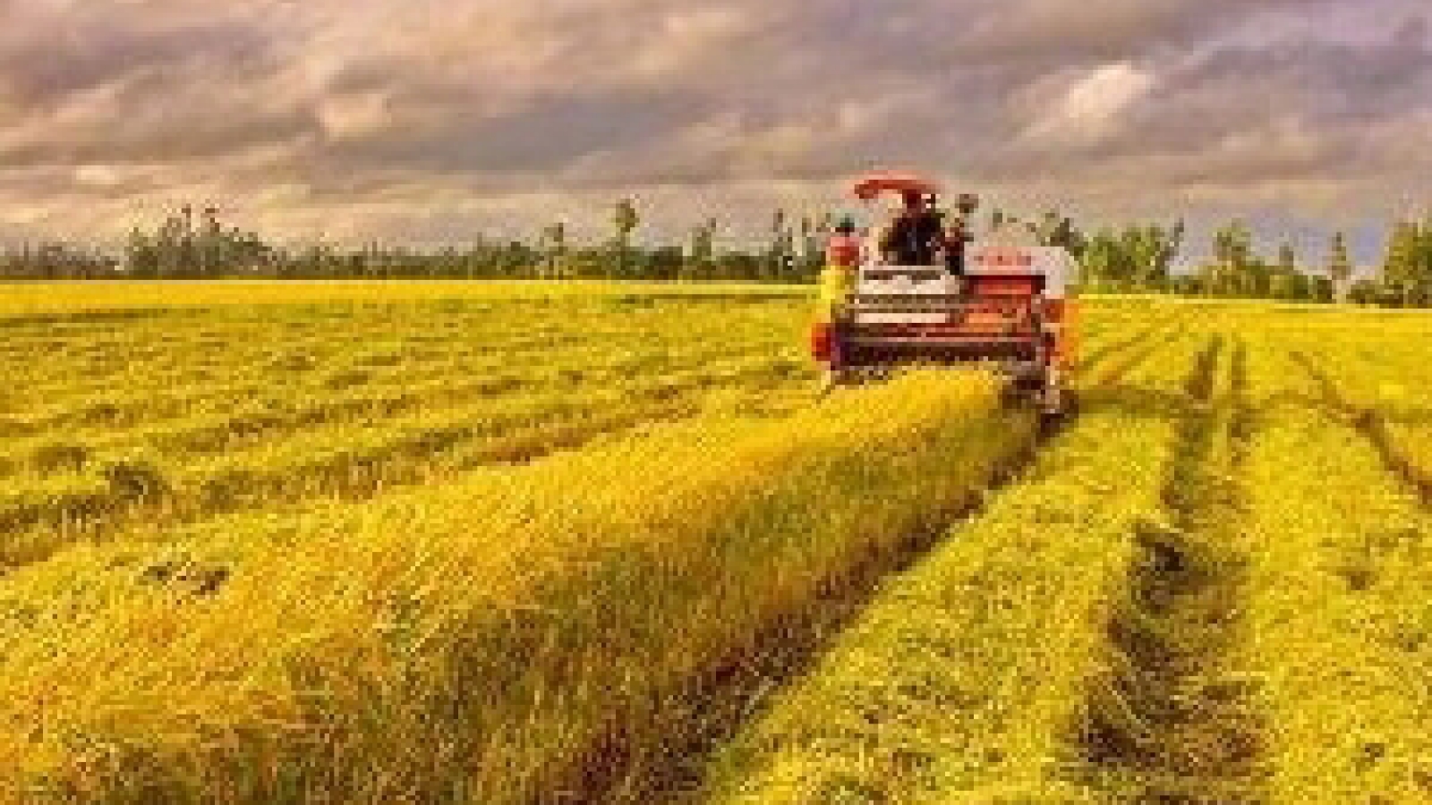 FAO pledges continued support for Vietnam