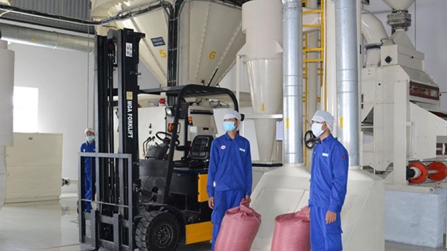 
        Southern Binh Duong province attracts more FDI
                              