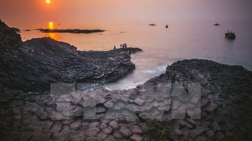 Phu Yen calling for more FDI projects