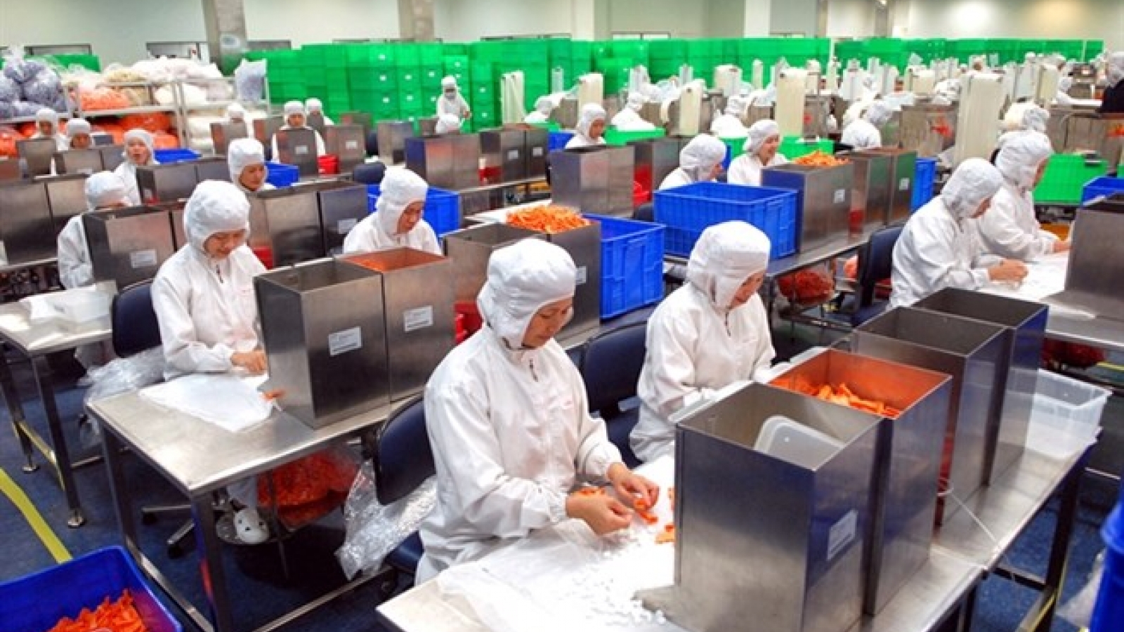 FDI disbursement at record high in 2016