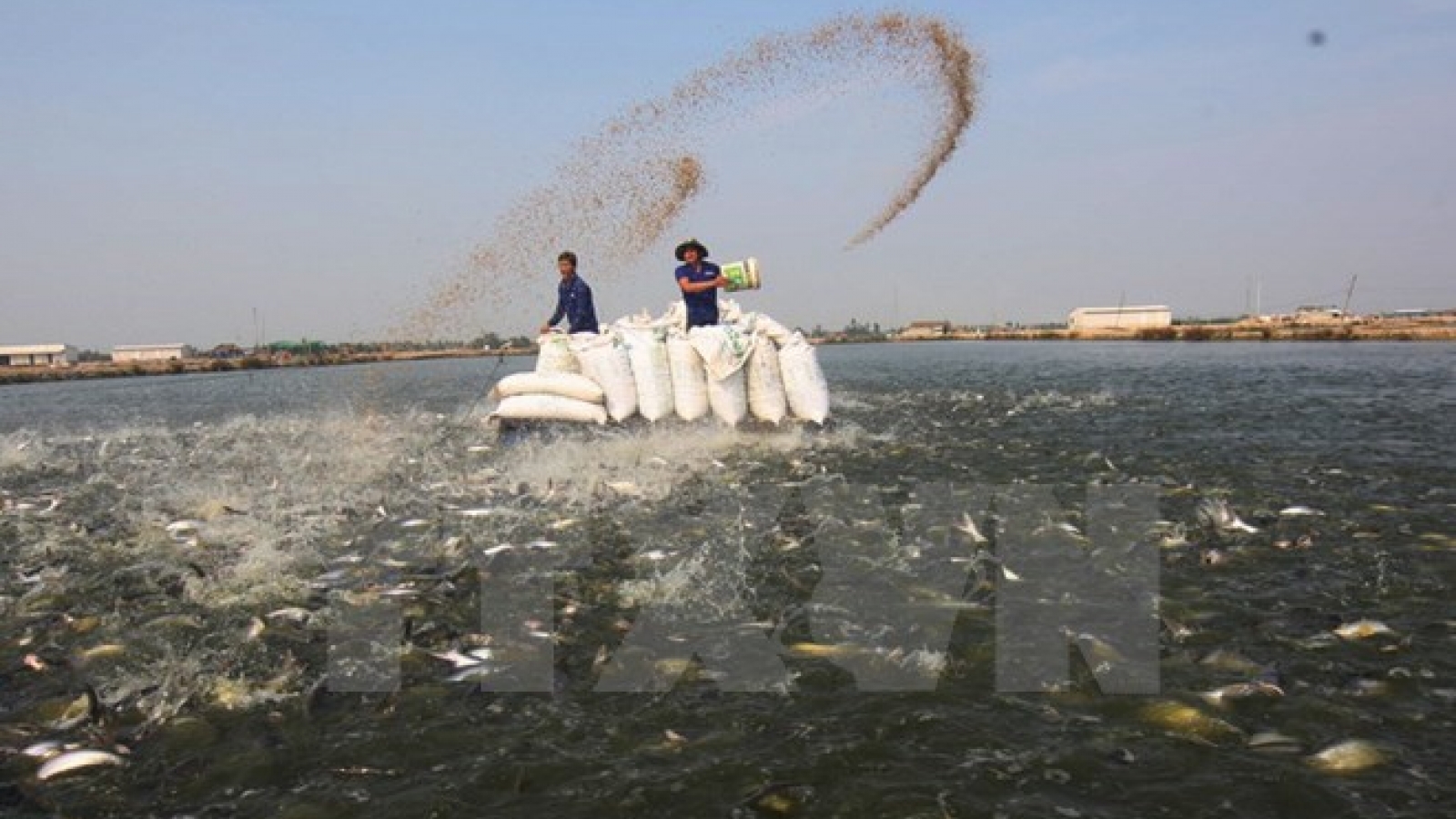 Low FDI in Mekong Delta attributed to poor infrastructure