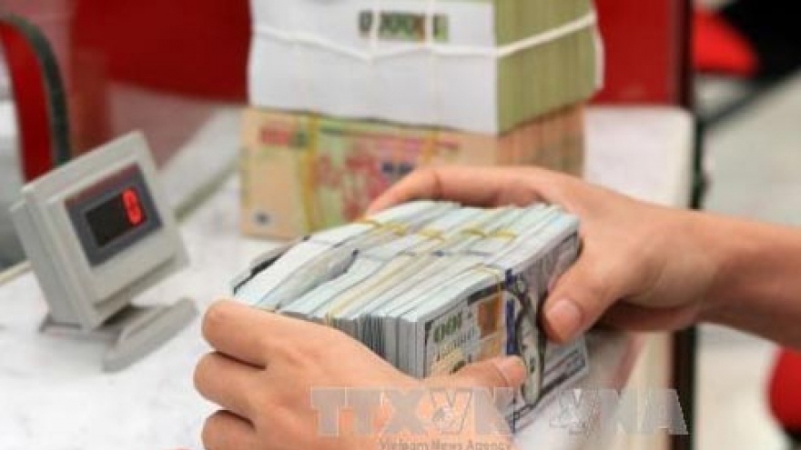 
        Vietnam’s forex remains stable after FED’s interest rate increase
                              