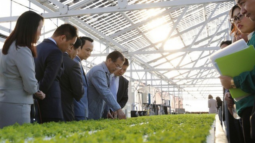 
        FLC to invest US$1.5 billion in hi-tech farm
                              