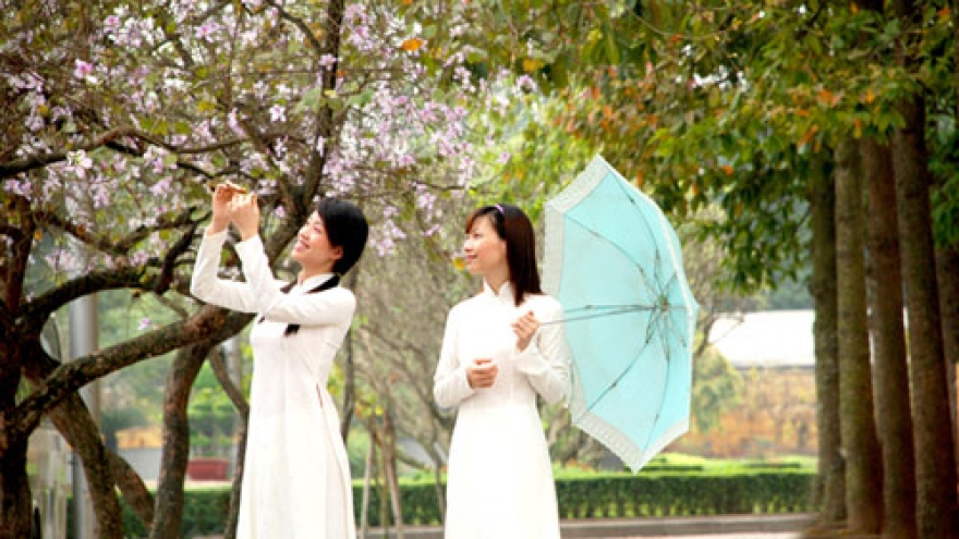 Flowers beautify Hanoi streets in March