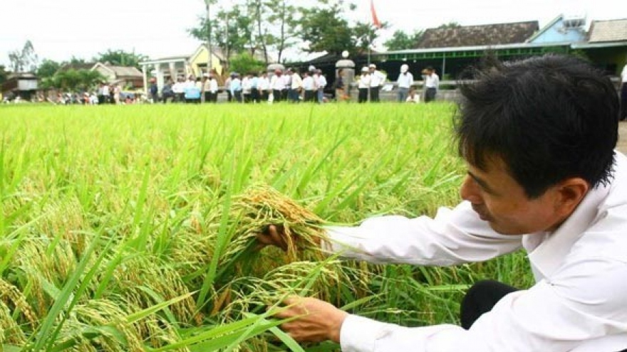 FPT, Fujitsu launch ‘smart' agriculture