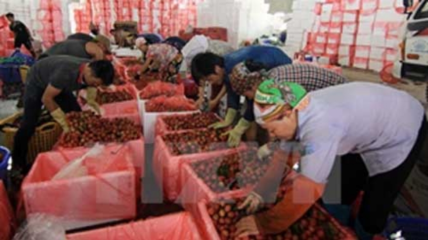 Vietnamese firms should prepare for Vietnam-EAEU FTA