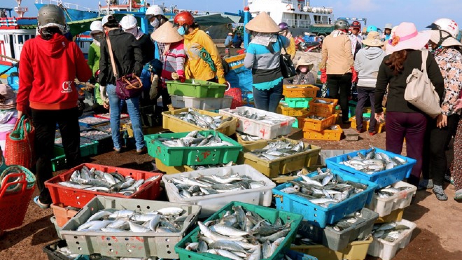 Fresh and surprisingly cheap seafood on Phu Quy Island