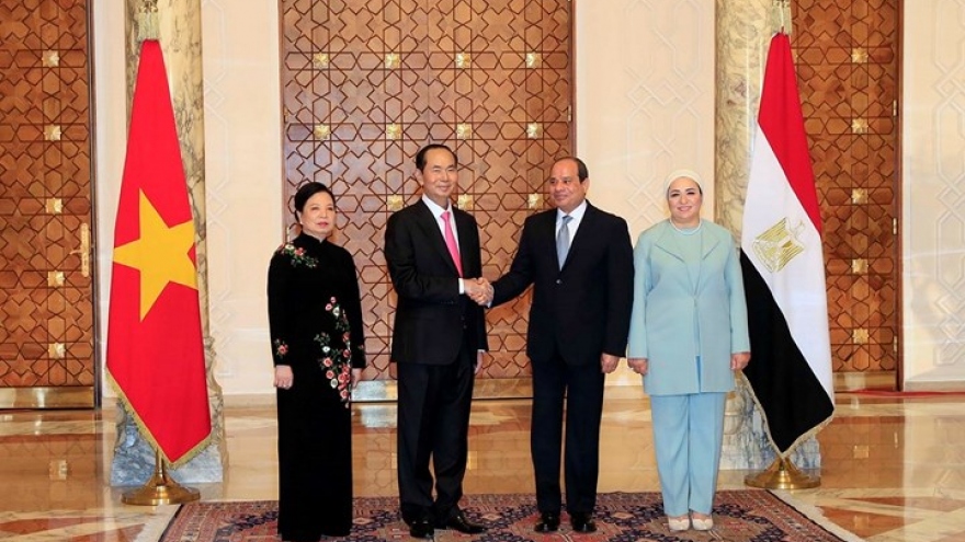 Overview of President Quang’s Egypt visit