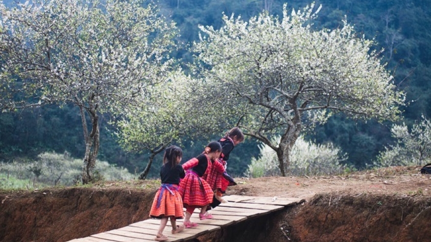 3 incredible mountain plateaus in northern Vietnam