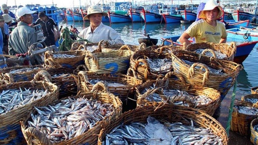 Ninh Thuan fishermen buoyant with bumper catch