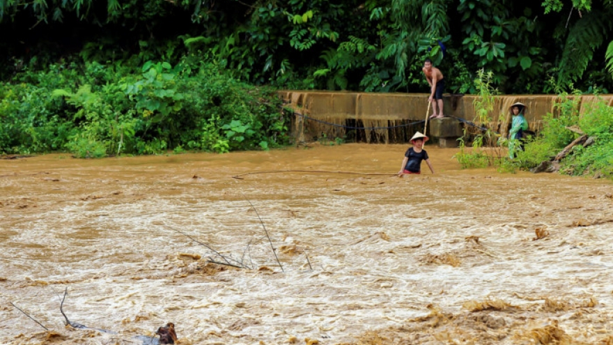 Dien Bien people risk their life catching fish, wood from flood waters