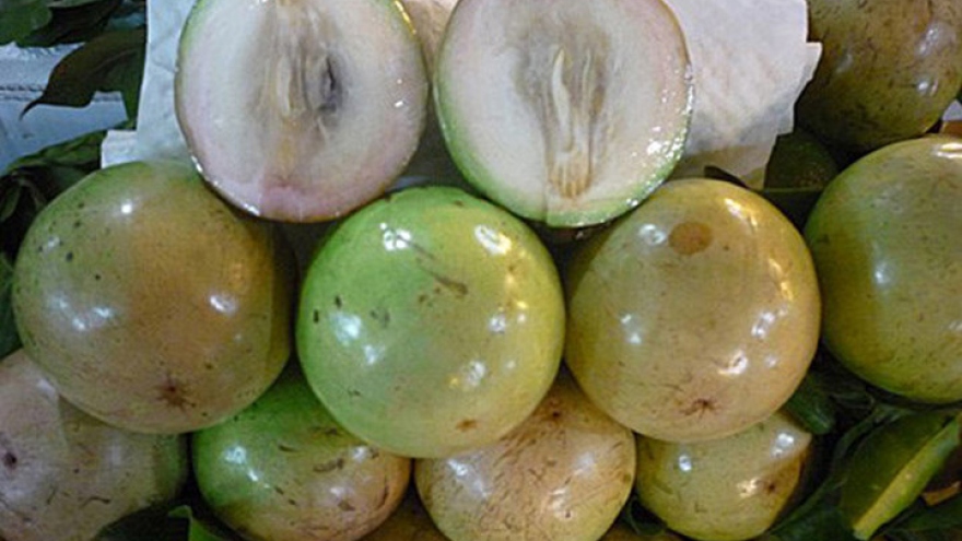 Vietnam delicious fruits on US market
