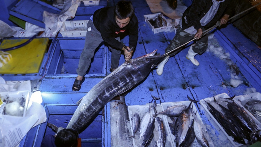 Fishermen net 10 ton catch on first trip of 2018