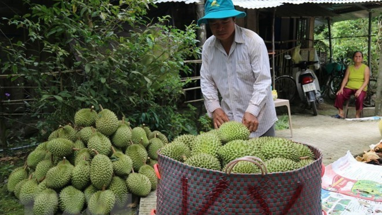 Farm produce needs improved quality to unlock EU market