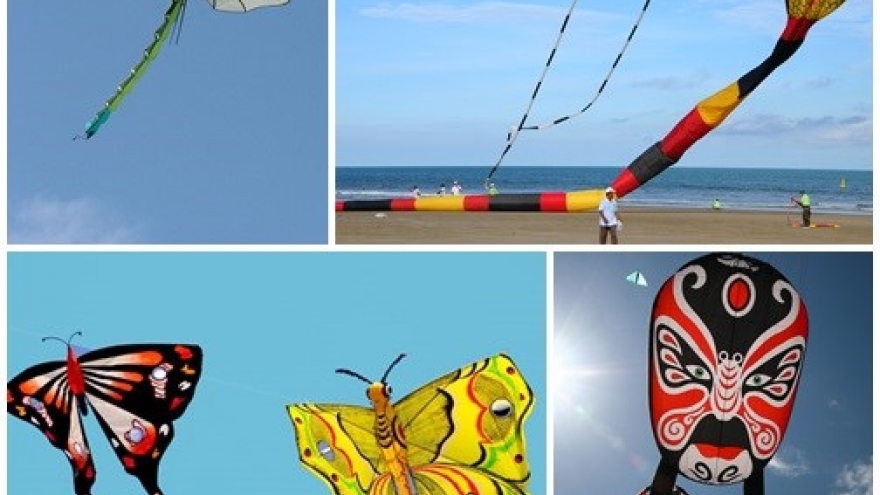 Giant kites soar up into Hung Yen province’s sky