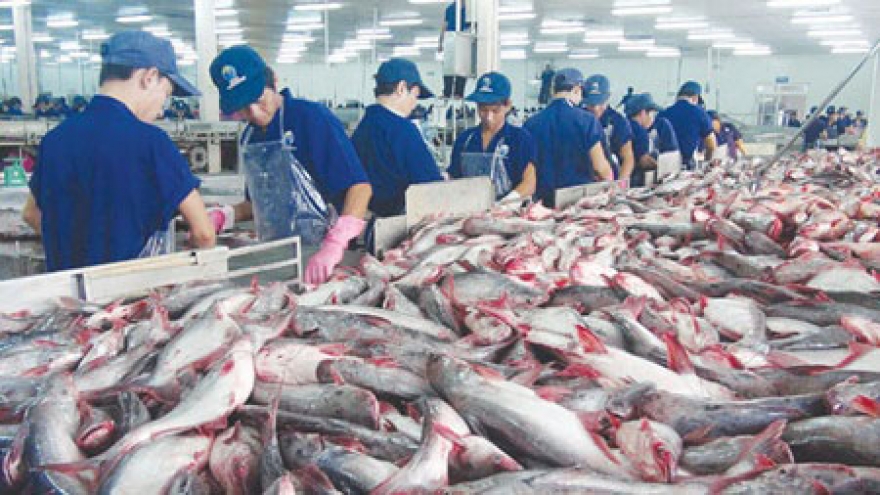 Social responsibility essential to fisheries sector