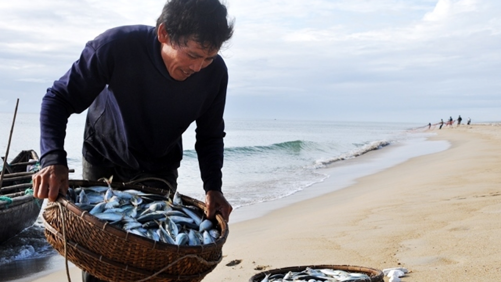 Fishing season in Quang Ngai