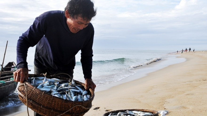 Fishing season in Quang Ngai