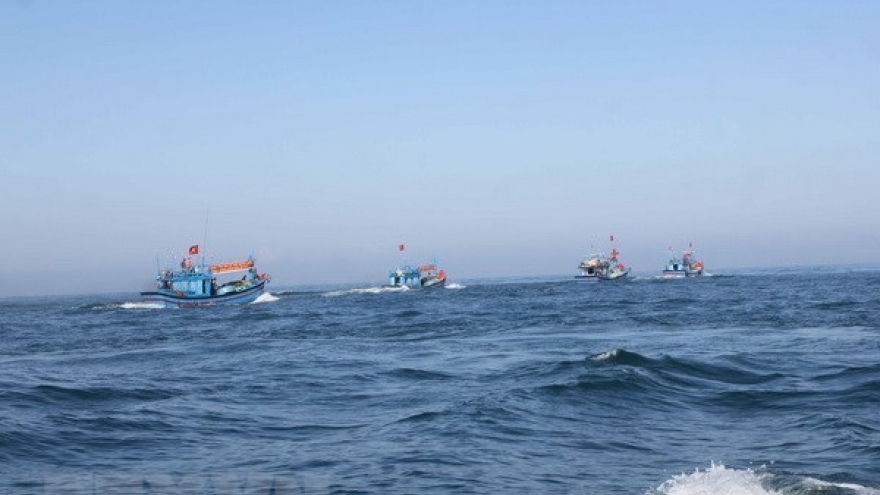 China’s fishing ban in Vietnamese waters valueless: MARD